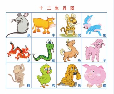 ​看看你的生肖适合养什么植物