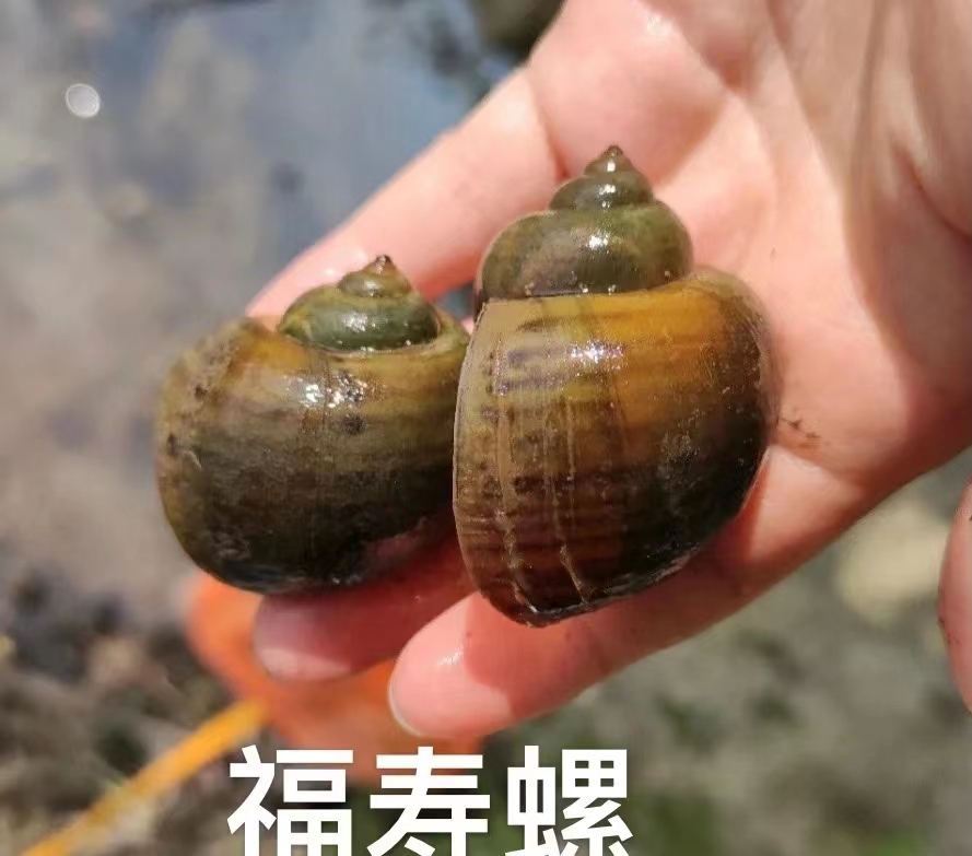 微信图片_202306041610111.jpg
