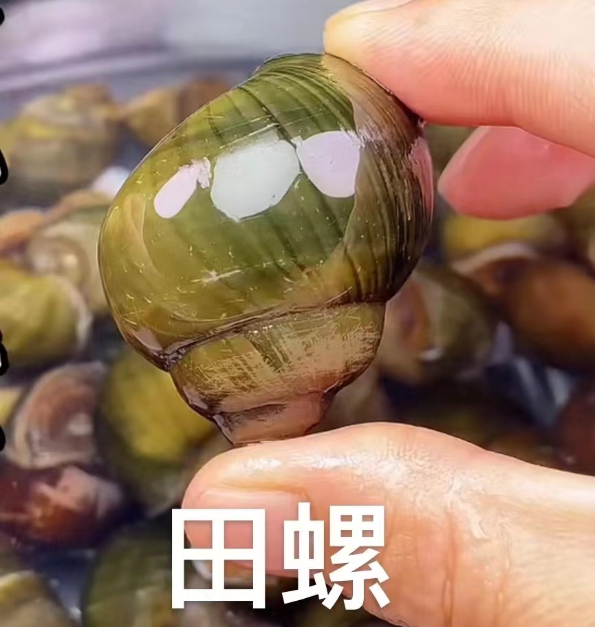 微信图片_202306041610112.jpg