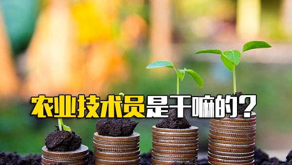 农业技术员是干嘛的呢_农业科技员是干什么的