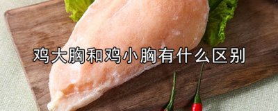 ​鸡大胸和鸡小胸的区别是什么 哪个适合减肥