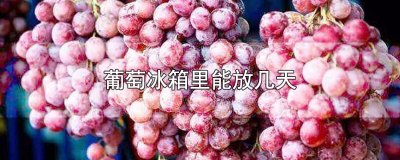 ​葡萄冰箱里能放几天