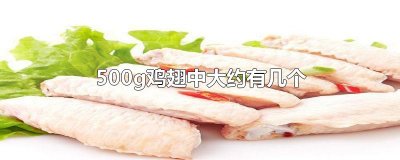 ​500g鸡翅中大约有几个？500g鸡翅中差不多有几个？