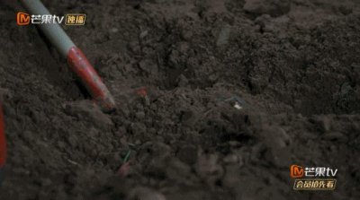 ​女人是天生的侦探