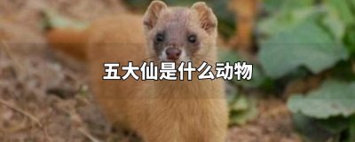 ​东北五仙是哪五个动物（东北五仙指的是什么）