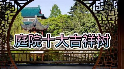 ​庭院十大吉祥树排名（庭院栽什么树最旺宅）
