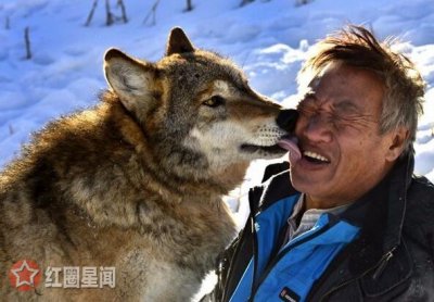 ​七十七天里的狼怎么拍的电影七十七天狼群是真的吗