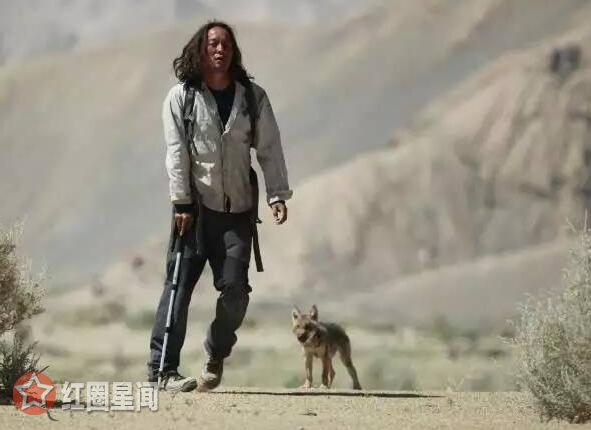 七十七天里的狼怎么拍的 电影七十七天狼群是真的吗