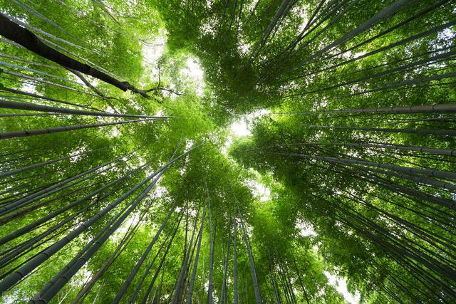 秦始皇的几个妻子生了几个儿子（秦始皇在位期间到底有多少妃子陪伴）(11)