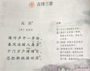​春风送暖入屠苏指的是什么呢（春风送暖入屠苏）