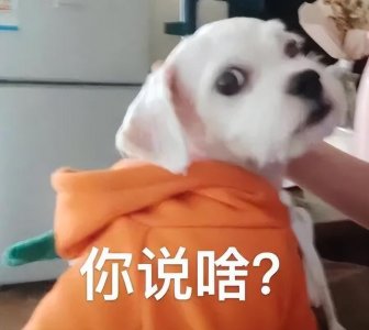 ​深圳购车补贴如何领取（深圳购车补贴可以跨区申请吗）