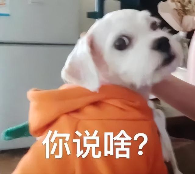 深圳购车补贴如何领取（深圳购车补贴可以跨区申请吗）(1)