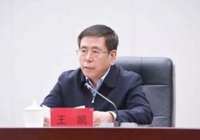 ​王凯当选河南省长（王凯当选河南省长）