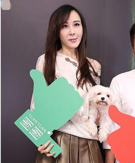 王贝整容失败的原因（被整容坑苦的五位女星）(4)