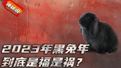 ​2023年为什么是黑兔年（2023黑兔年是真的吗）