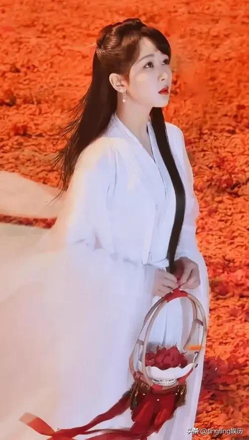 杨紫是从几岁开始当演员的（从童星蜕变成一线女明星的星路历程）(21)