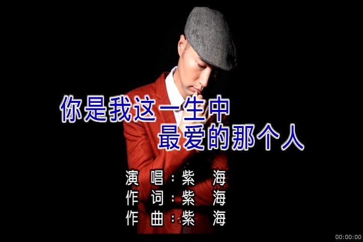 我一生中最爱的人啊是什么歌（歌词展示）