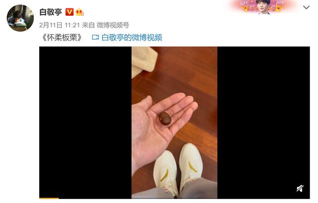 白敬亭简历个人资料（白敬亭出身怀柔并不）(12)