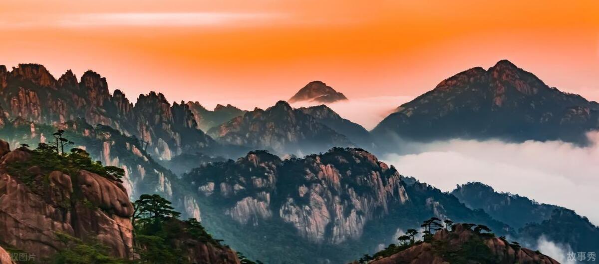 网络图片(侵删)