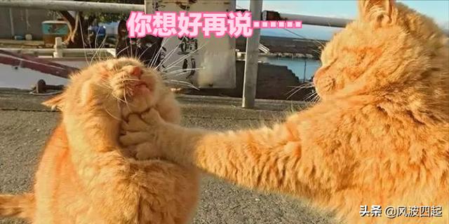 为什么一些人患得患失(为什么会患得患失)(8)