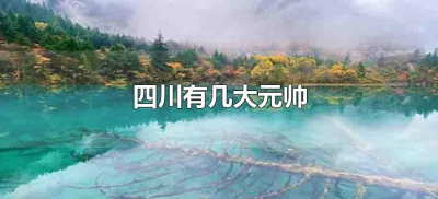 ​四川有几大元帅（四川有几大元帅都是谁）