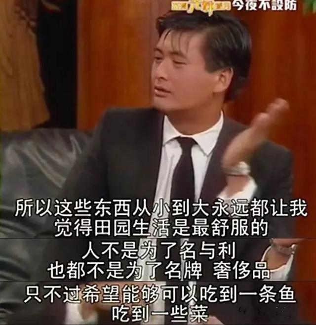 香港有哪些明星演过电影（哪十位演员最能代表香港电影）(20)