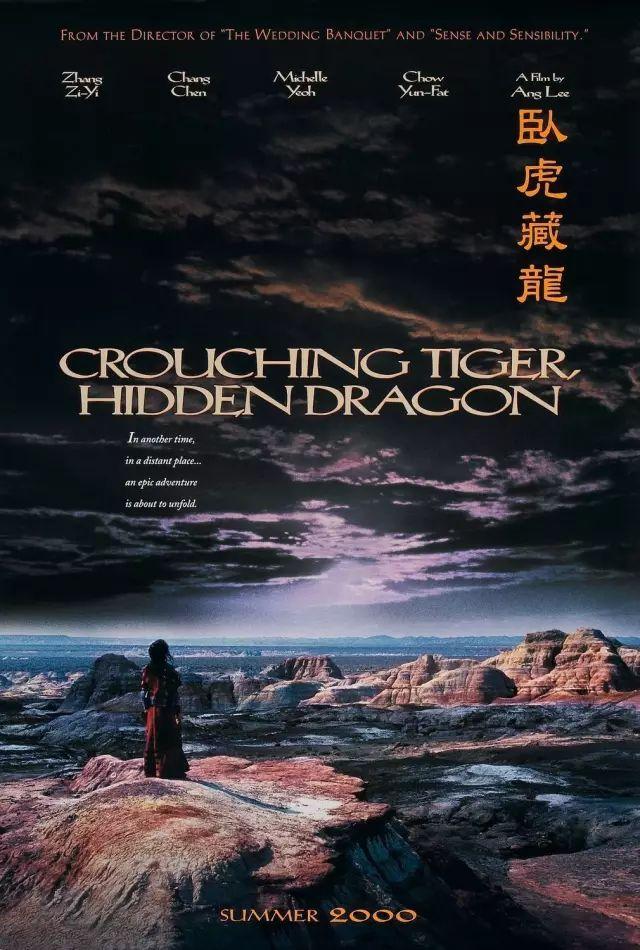 最值得看的15部功夫电影（口碑炸裂的经典功夫电影）(19)