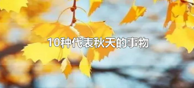 ​10种代表秋天的事物（秋天有哪些代表的事物）