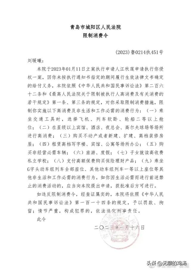 被处罚金和没收全部财产（刘暖曦被限制消费令）(4)