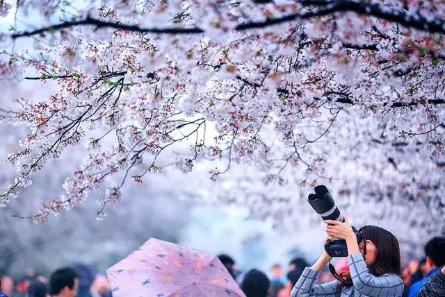 不可小看的上海一条小街多伦路（魔都100条必逛小马路）(103)