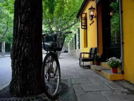 不可小看的上海一条小街多伦路（魔都100条必逛小马路）(8)