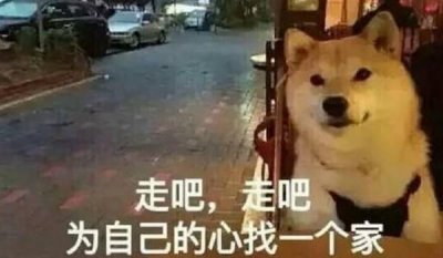 ​最值得观看的两部关于狗狗的电影（一定要看的七部狗狗电影）