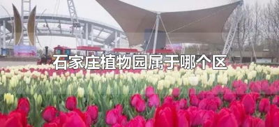 石家庄植物园属于哪个区(石家庄植物园位置在哪)