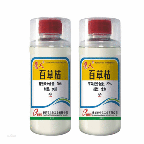 百草枯是什么(百草枯的简介)