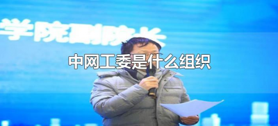 ​中网工委是什么组织（中网工委是干什么的）