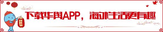 海外留学生回国怎么样买免税车（留学生回国免税车攻略）(23)