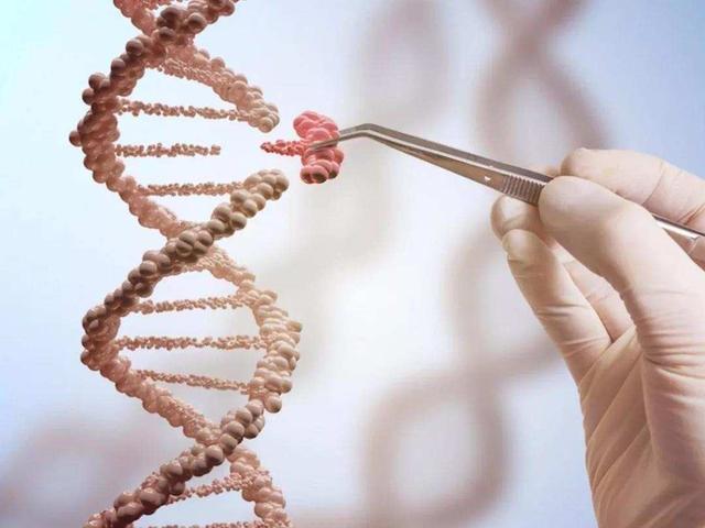 科学家复活了远古病毒（科学家已有能力在实验室中合成病毒）(3)