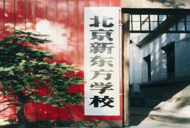 俞敏洪讲述创立新东方背后的故事（从北大辞职到新东方总裁）(9)