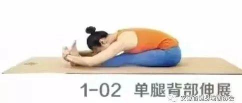 瑜伽健身教程基础课程（零基础入门瑜伽健身教程）(3)