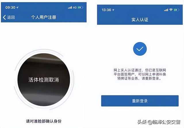 个人车辆信息查询系统（使用交管12123办理业务全攻略）(12)