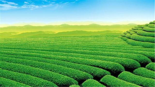 超清晰最美极致桌面壁纸（82张护眼电脑桌面壁纸）(82)
