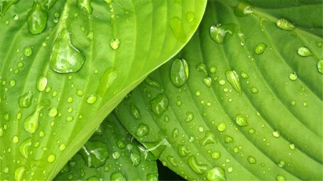 超清晰最美极致桌面壁纸（82张护眼电脑桌面壁纸）(45)