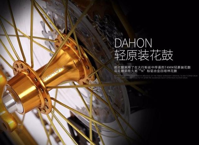 最轻的大行折叠自行车（公认大行折叠自行车最值得买的车TOP5）(4)