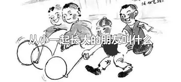 从小一起长大的朋友叫什么