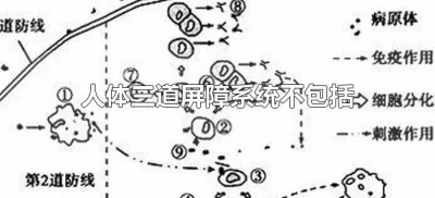 ​人体三道屏障系统不包括（人体三大屏障分别是什么）