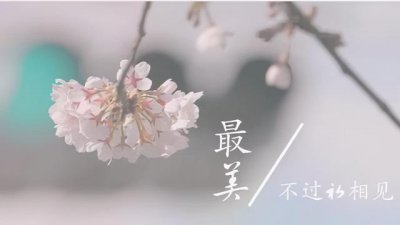 ​何事秋风悲画扇全诗意思（人生若只如初见）