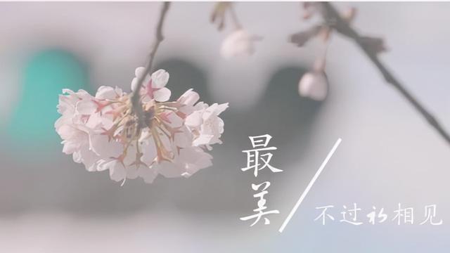 何事秋风悲画扇全诗意思（人生若只如初见）(1)