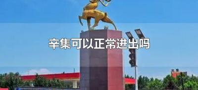 ​辛集可以正常进出吗（辛集可以出城吗）