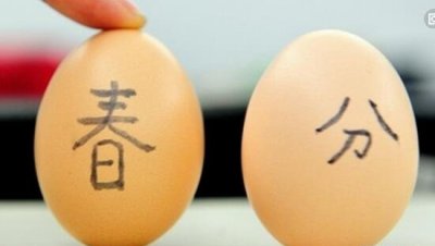 ​科学阐明春分竖蛋，鸡蛋在所有成天都能竖起来_无聊赖表面