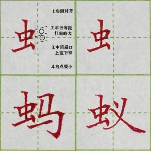 ​虫字旁的字有哪些
